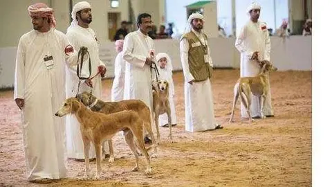 Un grupo de ciudadanos en una competición canina.