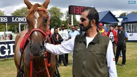 El gobernador de Dubai junto a uno de los caballos participantes en el evento deportivo.