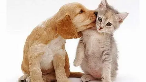 Una imagen a modo ilustrativo. (Fuente externa)