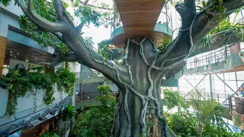 Una imagen de The Green Planet en Jumeirah.