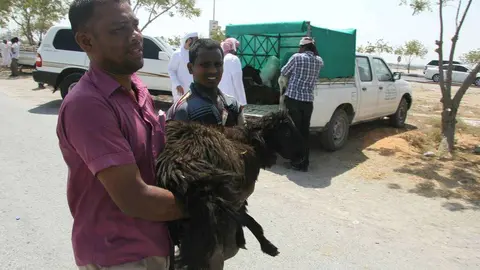 Traslado de un cordero en el mercado Ras Al Khaimah. (R. Pérez)