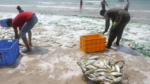 Pescadores recogen sus capturas en la playa de Sha'am, en el norte de Ras Al Khaimah. (EL CORREO)