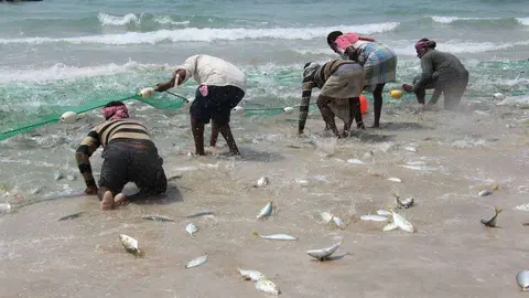 Pescadores recogen sus capturas en la playa de Sha'am, en el norte de Ras Al Khaimah. (EL CORREO)
