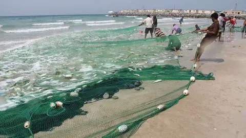 Pescadores recogen sus capturas en la playa de Sha'am, en el norte de Ras Al Khaimah. (R. Pérez)
