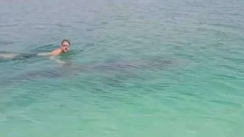 Watson junto al tiburón ballena en la playa de Jumeirah.