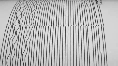 Un sismógrafo funcionando. (Hitchster, Flickr)