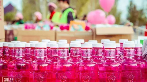 Botella rosa de Solan de Cabras.