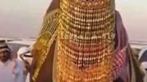 La camella con su collar de oro.