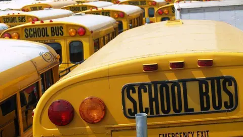 Flota de autobuses escolares en Emiratos,