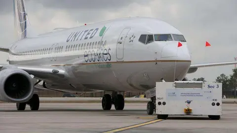 Un avión de la compañía United Airlines. (United Airlines)