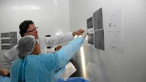 El doctor Luis Gavin en su consulta.