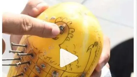 Una imagen del melón aparecido en la playa de Sharjah.