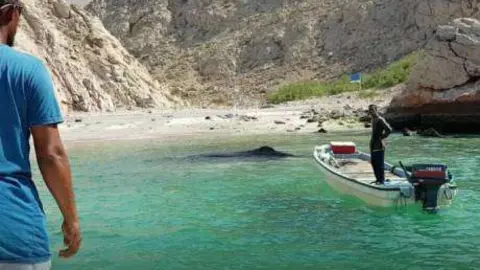 El pescador de Omán con la ballena al fondo.