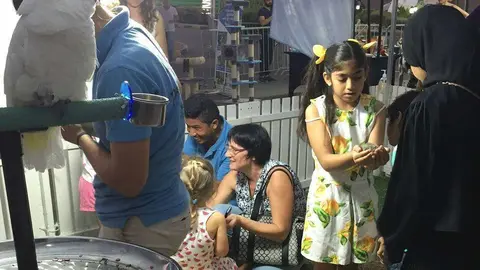 Festival de la Mascota en Ras Al Khaimah en el mes de noviembre. (EC)