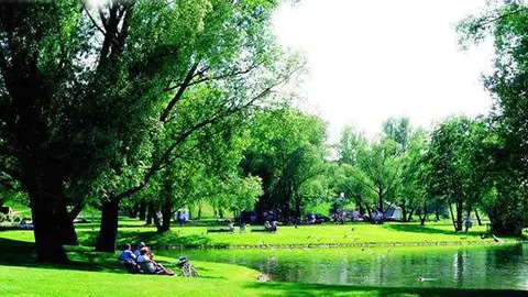 Los pesticidas y plaguicidas son fatales para el medio ambiente.