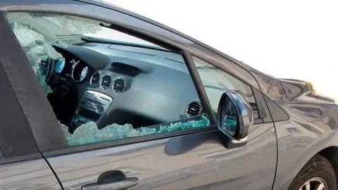 La policía vigiló la zona hasta detener al ladrón.