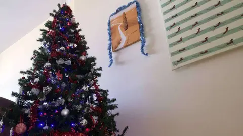 Foto del árbol de Navidad de EL CORREO DEL GOLFO. (E.C.)