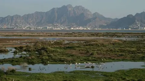 La reserva natural Al Hiswa en Adén.