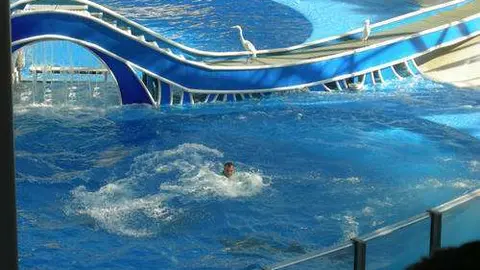 El parque SeaWorld en Orlando, Estados Unidos.