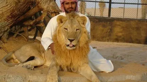 Mohammed Al Kumaiti compró un cachorro de león por 50.000 dirhams.