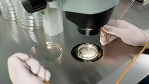 Trabajos de laboratorio en una clínica de fertilidad. (IVI)