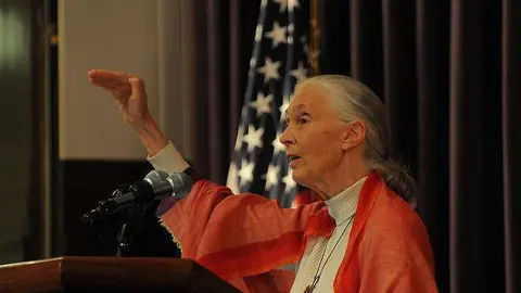 La primatóloga Jane Goodall durante una conferencia.