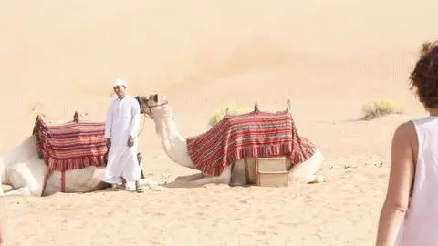 Camellos en el desierto de Liwa. (EL CORREO)