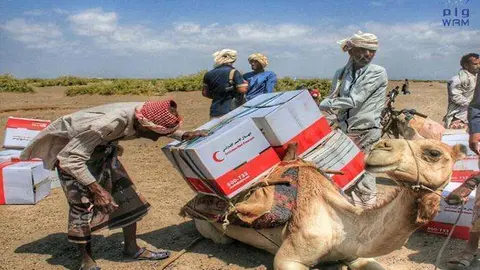 La Media Luna Roja ha distribuido lotes de alimentos en las zonas recientemente liberadas por el ejército en Yemen. (WAM)