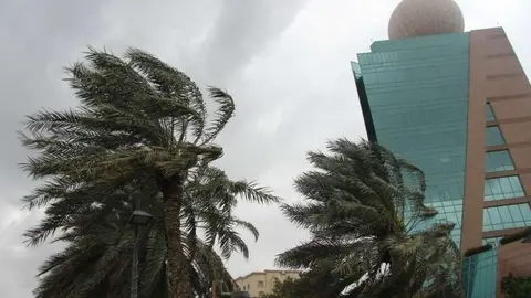 Palmeras azotadas por el intenso viento en las proximidades del edificio de Etisalat en Ras Al Khaimah. (EL CORREO)