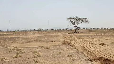 El desierto del emirato de Sharjah. (EL CORREO)