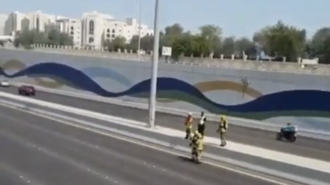 Captura del vídeo donde la Defensa Civil salva al gato. 