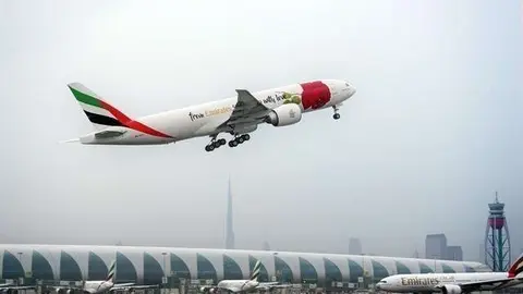 Avión de Emirates Airline decorado con una rosa.