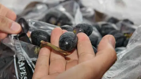 Uvas en el mercado de frutas y verduras de Dubai. (EL CORREO)