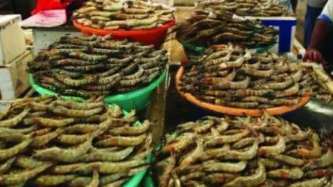 El marisco retirado en Deira no había sido transportado en frío. (Municipalidad de Dubai)