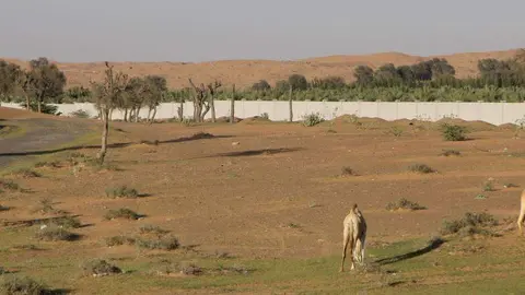 Desierto de Emiratos Árabes Unidos. (EL CORREO)