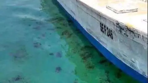 El derrame de petróleo daña el medio ambiente.