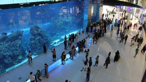 Una imagen del Acuario de Dubai Mall. (EL CORREO)