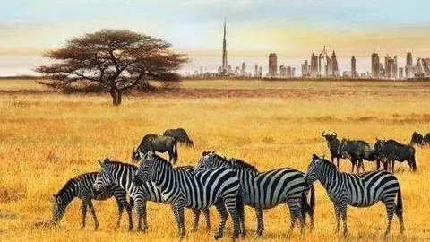 Dubai Safari Park abrirá en 2016.