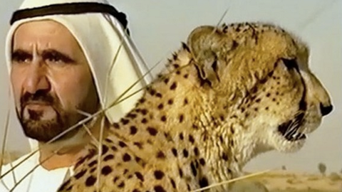 El jeque Mohamed bin Rashid Al Maktoum junto al guepardo en el vídeo. (Instagram)