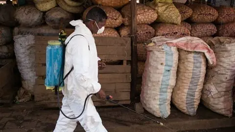 Madagascar ha sufrido con las plagas dese 1980.