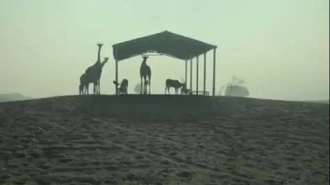 Una de las fotografías publicadas por Sheikh Hamdan. (@faz3)