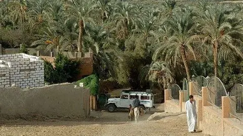 Oasis de Bahariya.