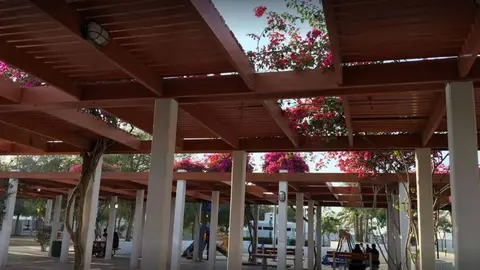 Una imagen del parque Hamriya en Dubai.