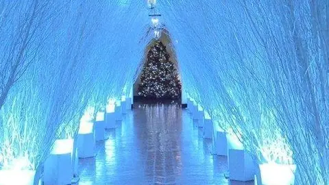 Ornamentos y adornos navideños en la Casa Blanca. (Twitter)