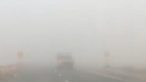 La visibilidad era prácticamente nula este martes por la mañana en la carretera entre Maliha y Sharjah, según esta imagen divulgada por el NCM.