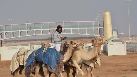 Un cuidador de camellos en el desierto de Dubai. (EL CORREO)