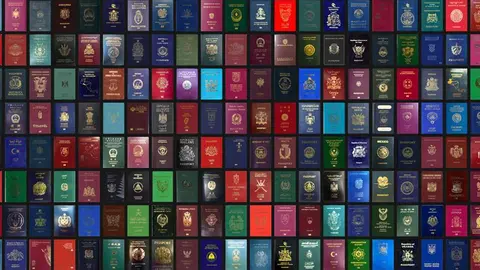 Pasaportes del mundo.