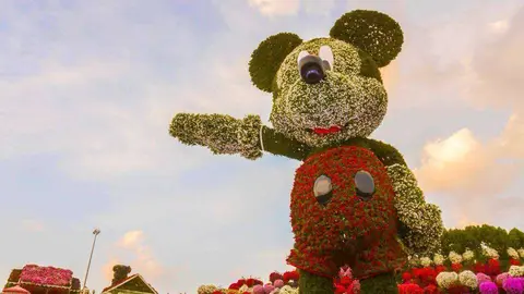 La escultura de Mickey Mouse en Dubai Miracle Garden mide 18 metros. (Dubai Miracle Garden)