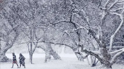 La costa este de Estados Unidos se prepara para una gran tormenta de nieve.