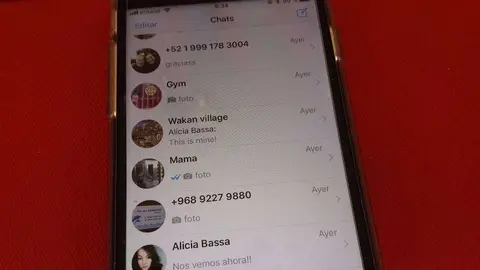 WhatsApp es la aplicación de mensajería más usada del mundo. (EL CORREO)